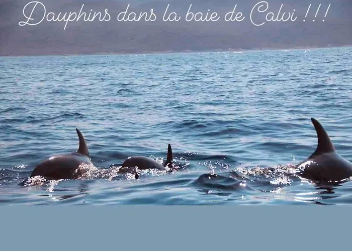 Solane 5 100m 度假居